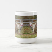 Niedliche Donkeys Kaffeetasse (Mittel)