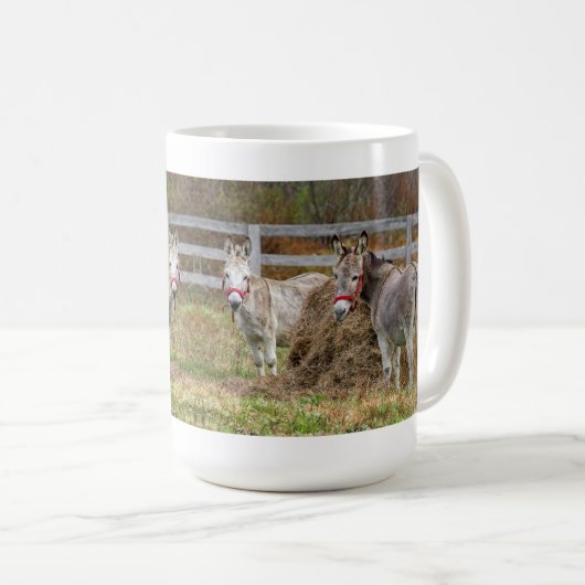 Niedliche Donkeys Kaffeetasse (VorderseiteRechts)