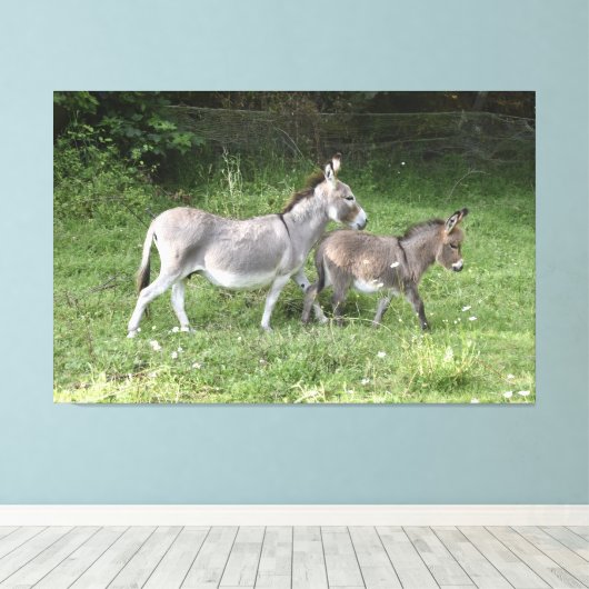 Niedliche Donkeys Leinwanddruck (Insitu (Holzboden))