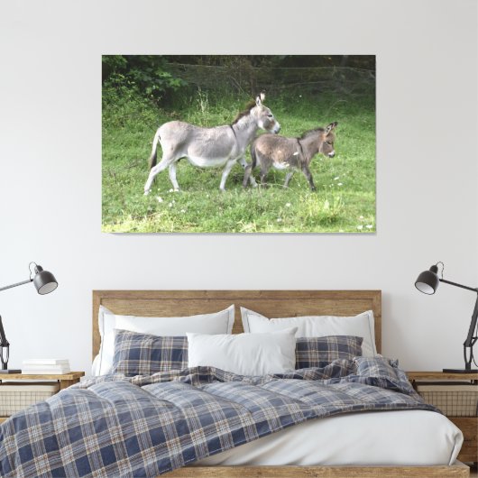 Niedliche Donkeys Leinwanddruck (Insitu (Schlafzimmer))