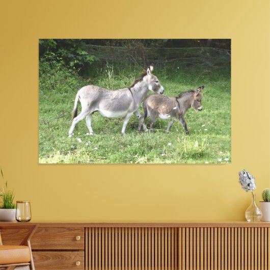 Niedliche Donkeys Leinwanddruck (Insitu (Wohnzimmer))