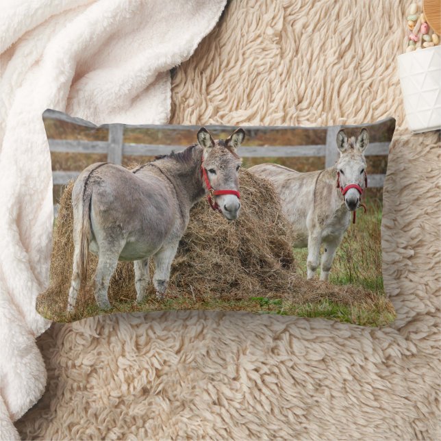 Niedliche Donkeys Lendenkissen (Decke)