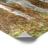 Niedliche Donkeys Poster (Ecke)