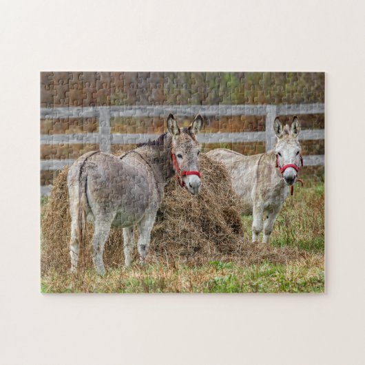 Niedliche Donkeys Puzzle (Horizontal)