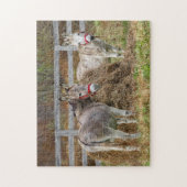Niedliche Donkeys Puzzle (Vertikal)