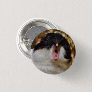 Niedliche Dreifarben-Guinea Schweinegitter Button