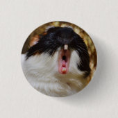 Niedliche Dreifarben-Guinea Schweinegitter Button (Vorderseite)