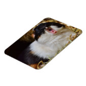 Niedliche Dreifarben-Guinea Schweinegitter Magnet (Linke Seite)