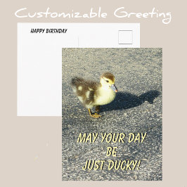Niedliche Duckling Happy Birthday Wildlife Fotogra Postkarte