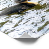 Niedliche Ducklings Schwimmen Poster (Ecke)