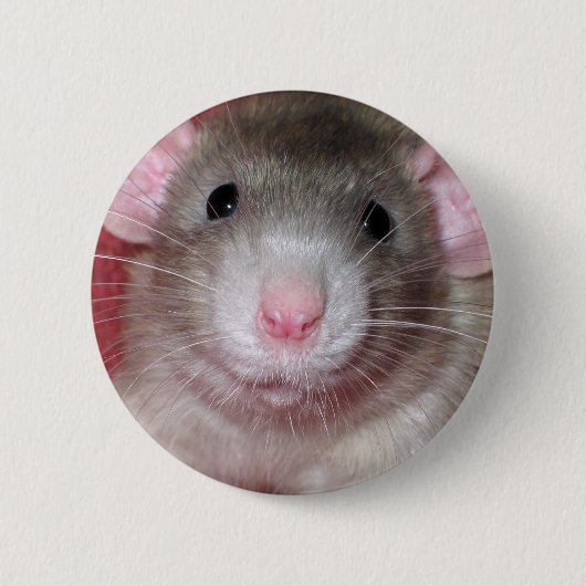 Niedliche Dumbo Ratte Button (Vorderseite)