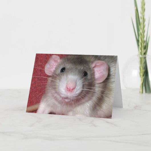 Niedliche Dumbo Ratte Karte (Vorderseite)