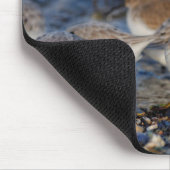 Niedliche Dunlins Sanderlings Sandpipers am Strand Mousepad (Ecke)