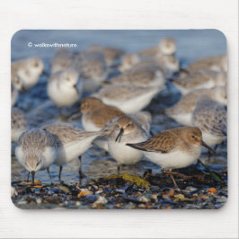 Niedliche Dunlins Sanderlings Sandpipers am Strand Mousepad