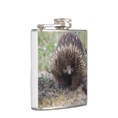 Niedliche Echidna aus Australien Flachmann (Rechts)