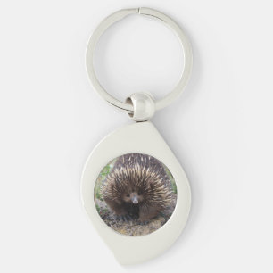 Niedliche Echidna aus Australien Schlüsselanhänger