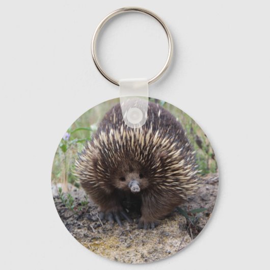 Niedliche Echidna aus Australien Schlüsselanhänger (Vorderseite)