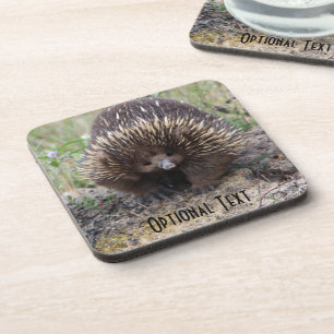 Niedliche Echidna aus Australien Untersetzer