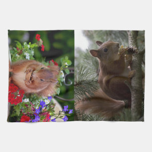 Niedliche Eichhörnchen Geschirrtuch