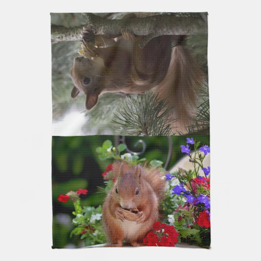 Niedliche Eichhörnchen Geschirrtuch (Vertikal)