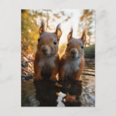 Niedliche Eichhörnchen Postkarte (Vorderseite)