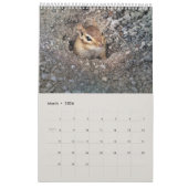 Niedliche Eichhörnchen und Chipmunks Funny Animal Kalender (Mär 2026)
