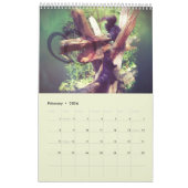 Niedliche Eichhörnchen und Chipmunks Funny Animal Kalender (Feb 2026)