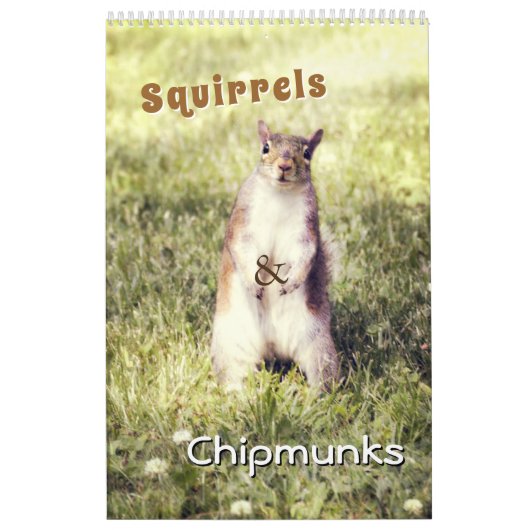 Niedliche Eichhörnchen und Chipmunks Funny Animal Kalender (Titelbild)