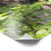 Niedliche Eichhörnchenfamilie in Frühlingsfotograf Fotodruck (Ecke)