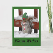 Niedliche Eichhörnchenkarte auf grün