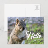niedliche Eichhörnchenpost-Karte - Hallo/Hi/Gruß Postkarte (Vorne/Hinten)