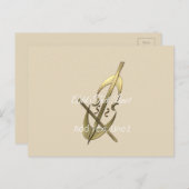 Niedliche einfache Chic Gold Cello Musik Danke Kar Postkarte (Vorne/Hinten)
