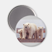 Niedliche Eisbären Magnet (Vorderseite/Rückseite)