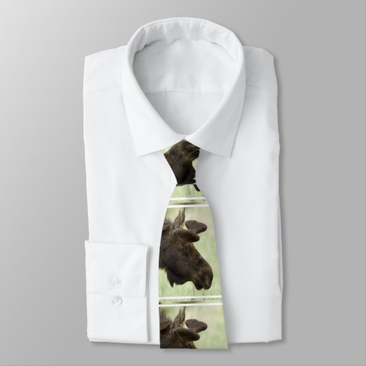Niedliche Elche Krawatte (Gebunden)