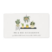 Niedliche elegante gepolsterte Blätter Sukkulente (Vorne)