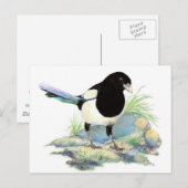 Niedliche Elster - Watercolor-Vogel Postkarte (Vorne/Hinten)