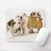 Niedliche englische Bulldogs Welpenhunde spielen M Mousepad (Mit Mouse)