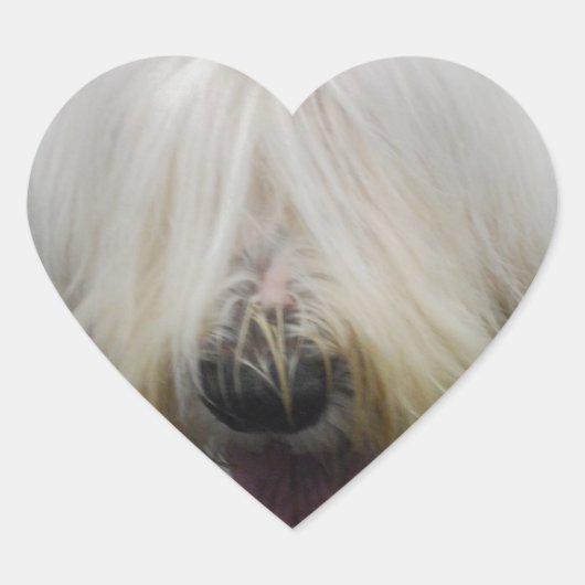 Niedliche englische Sheepdog Stickers (Vorderseite)