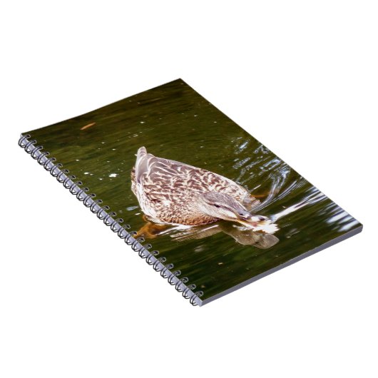 Niedliche Ente Fütternd Notizblock (Rechte Seite)