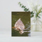 Niedliche Ente Fütternd Postkarte (Stehend Vorderseite)