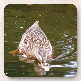 Niedliche Ente Fütternd Untersetzer