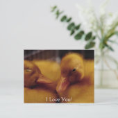 Niedliche Enten Feiertagspostkarte (Stehend Vorderseite)