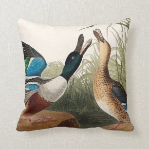Niedliche Enten von Vögeln Amerikas (Audubon) Kissen