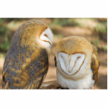 niedliche Eule<br><div class="desc">niedliche Eule</div>