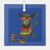Niedliche Eule-Bücher Ornament Aus Glas (Vorderseite)