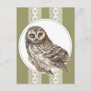 Niedliche Eule - Wasserfarbengel, Wildtiere, Natur Postkarte