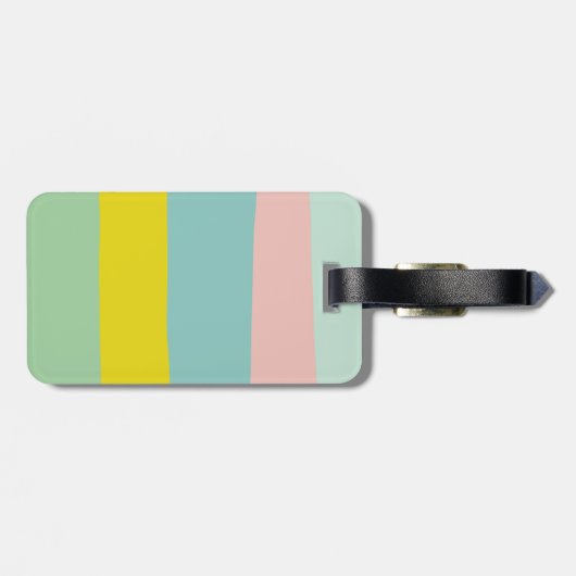 Niedliche Farbblockstreifen in schmalen Pasten Gepäckanhänger (Rückseite horizontal)