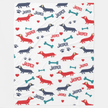 Niedliche farbige Dackel Hunde Dackel