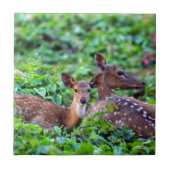 Niedliche Fauna liegt im Wald mit Mutter Fliese (Vorderseite)