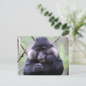 Niedliche Fauna Postkarte (Stehend Vorderseite)